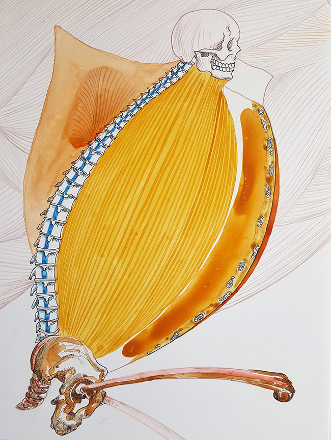 BPaquet